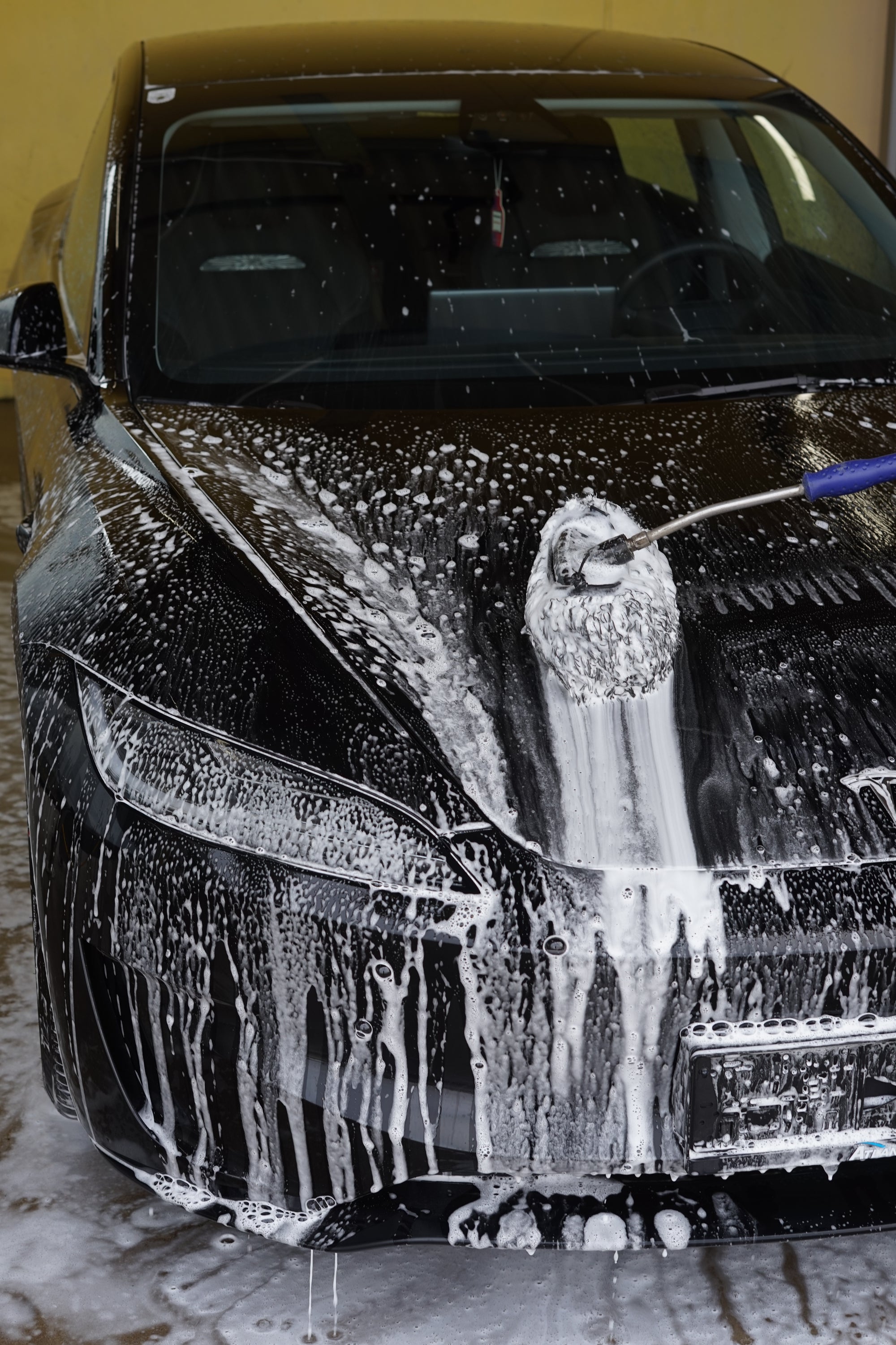 SB Bürsten Cover | Brush Cover