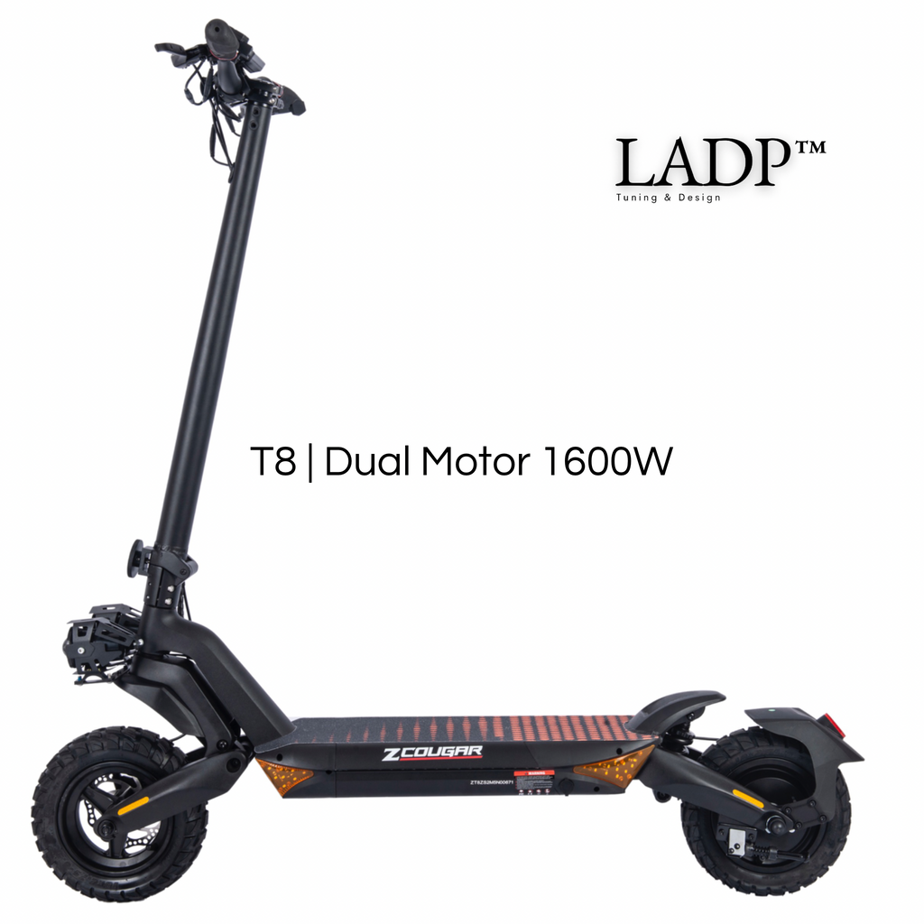 Elektro Scooter T8 Dual Motor 1600W |